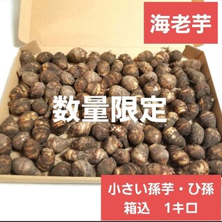 小さい海老芋　孫芋、ひ孫　約1キロ(野菜)