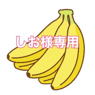 しお様専用ページ(おもちゃ/雑貨)