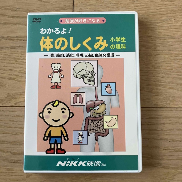 nikk DVD 学習 知育 DVD | energysource.com.br