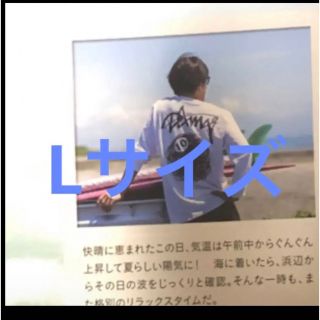 damasurfboards tシャツ Lサイズ キムタク着 | escolalf.com.br