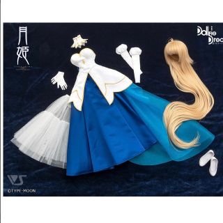 ボークス(VOLKS)の新品　真祖の姫セット　月姫　DD DDS 衣装　アルクェイド　ボークス (その他)