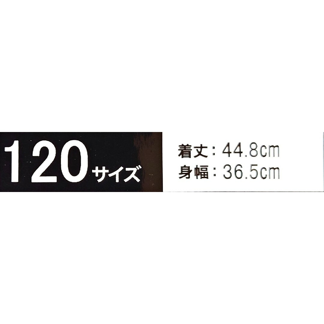 MIZUNO(ミズノ)のポケモン MIZUNO 完売 ラッシュガード ピカチュウ ジュニア120 エンタメ/ホビーのおもちゃ/ぬいぐるみ(キャラクターグッズ)の商品写真