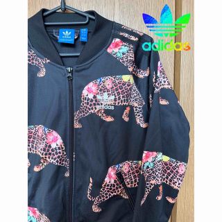 アディダス adidas 廃盤 BOTANICAL T.TOP mulch 美品