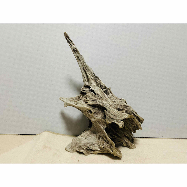 天然流木　カブトムシ？ハンドサイン？のような形 エンタメ/ホビーの美術品/アンティーク(彫刻/オブジェ)の商品写真