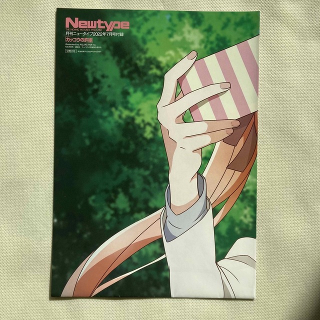 Newtype (ニュータイプ) 2022年 07月号 エンタメ/ホビーの雑誌(アート/エンタメ/ホビー)の商品写真