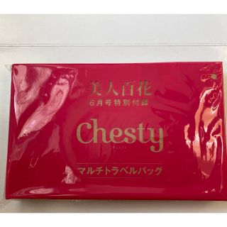 Chesty マルチトラベルバッグ　付録　(ファッション)