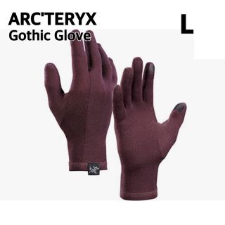 ARC'TERYX - アークテリクス レザーグローブの通販 by bigfoot白's ...