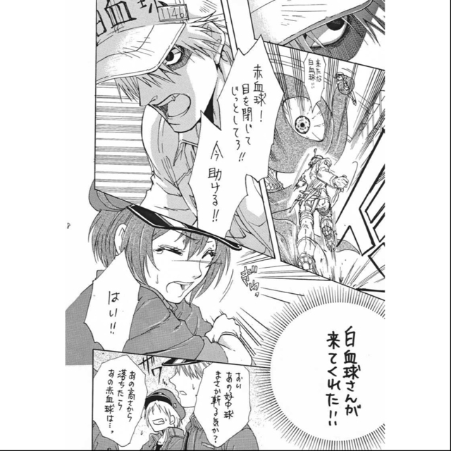 Doujinshi - Cells at Work! / Red Blood Cell (AE3803) & White Blood Cell  (好きっていわなきゃ) / KF