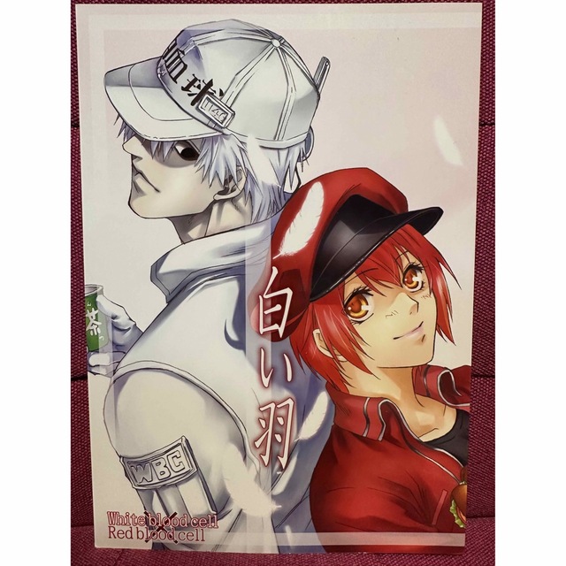 Doujinshi - Cells at Work! / Red Blood Cell (AE3803) & White Blood Cell  (好きっていわなきゃ) / KF