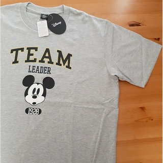 ディズニー(Disney)の【新品・未使用・タグ付】DISNEY ミッキーマウス アーチロゴTシャツ LL(Tシャツ/カットソー(半袖/袖なし))