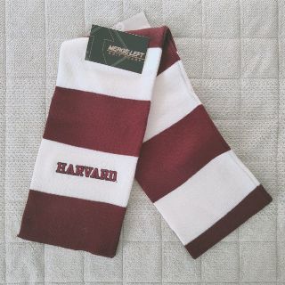 HARVARD - 【新品未使用品】ハーバード大学　ニットマフラー