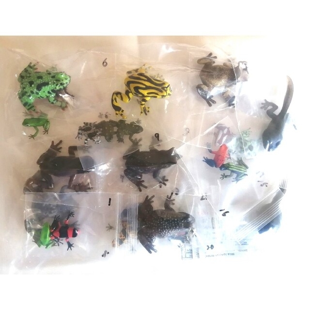🉐🐸希少モデル【原色両生類カエル図鑑】23個まとめ売り(シークレット入り)