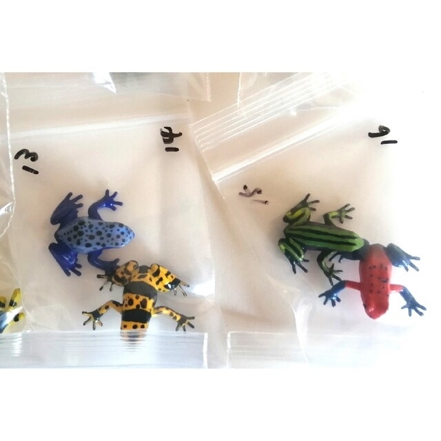 🉐🐸希少モデル【原色両生類カエル図鑑】23個まとめ売り(シークレット入り)