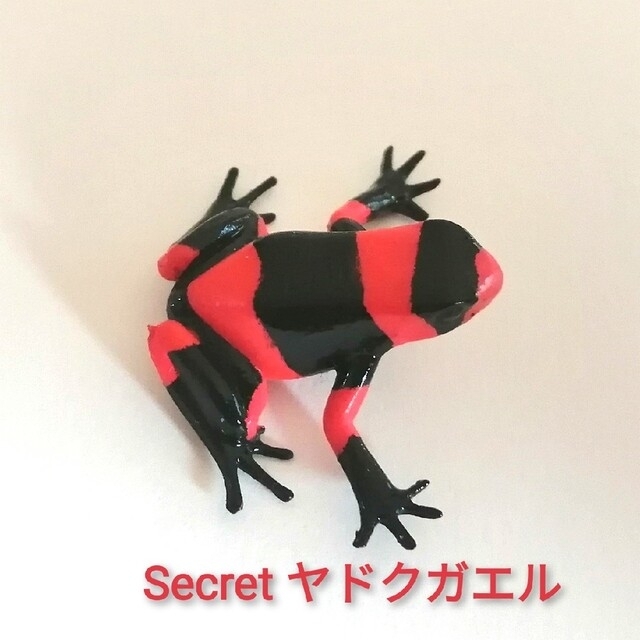 🉐🐸希少モデル【原色両生類カエル図鑑】23個まとめ売り(シークレット入り)