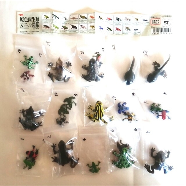 🉐🐸希少モデル【原色両生類カエル図鑑】23個まとめ売り(シークレット入り)