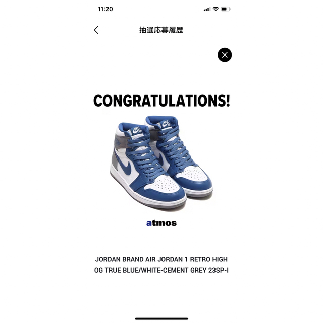 Nike Air Jordan 1 High OG True Blue 27.0 5