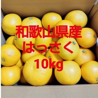 和歌山県産　八朔　はっさく　10kg(フルーツ)