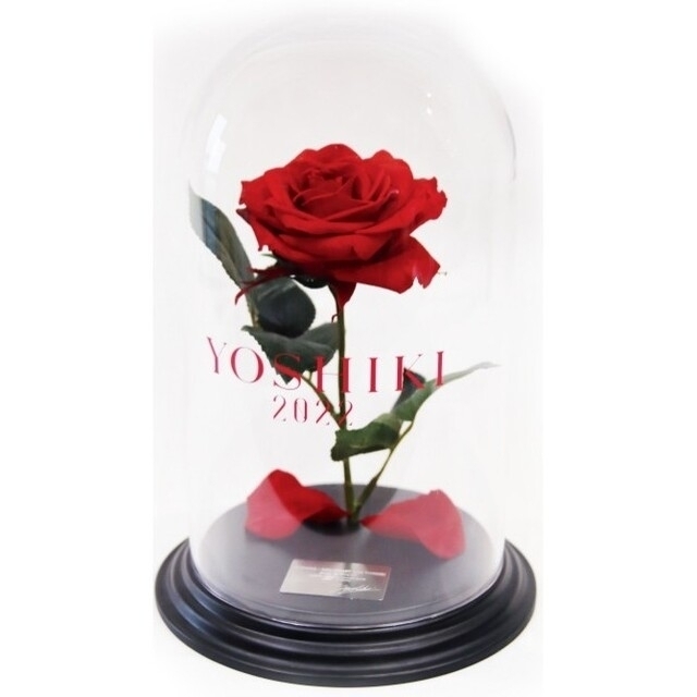 YOSHIKI ディナーショー 限定グッズ プリザーブドフラワー | beltone.sg