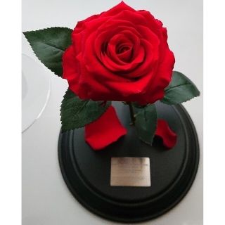 YOSHIKI ディナーショー 限定グッズ プリザーブドフラワー | beltone.sg