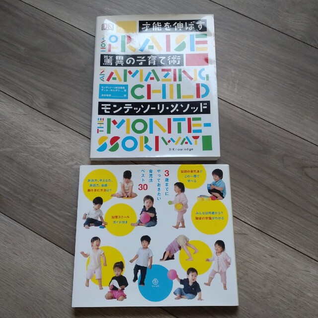 才能を伸ばす驚異の子育て術モンテッソーリ・メソッド エンタメ/ホビーの雑誌(結婚/出産/子育て)の商品写真