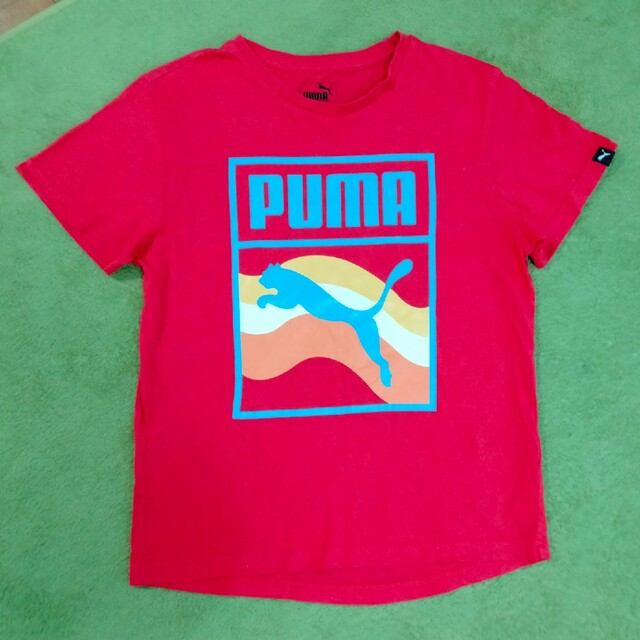 PUMA(プーマ)のPUMA　半袖Ｔシャツ　男児　150センチ キッズ/ベビー/マタニティのキッズ服男の子用(90cm~)(Tシャツ/カットソー)の商品写真