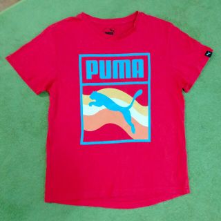 プーマ(PUMA)のPUMA　半袖Ｔシャツ　男児　150センチ(Tシャツ/カットソー)