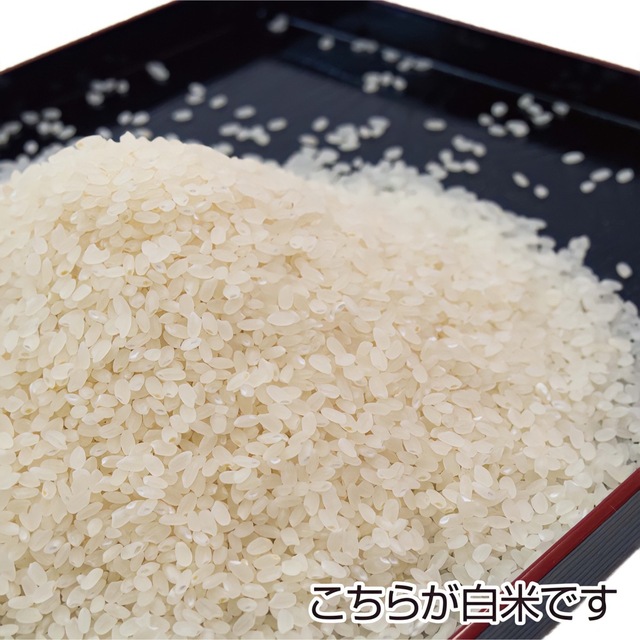 令和４年 秋田県産 新米 あきたこまち１５kg 特別栽培米 有機米 無洗米も対応食品/飲料/酒