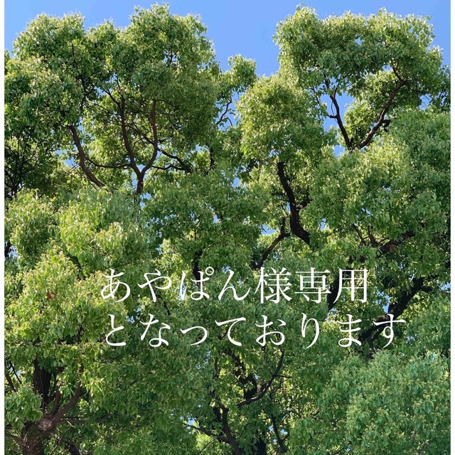 あやぱん様専用となっておりますのサムネイル