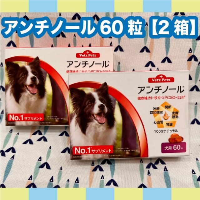 アンチノール　犬用　60粒　2箱