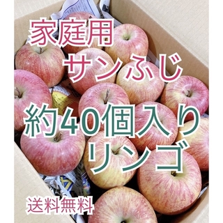 （少し小ぶり）2月8日発送。会津の樹上葉取らず家庭用リンゴ約40個入り(フルーツ)