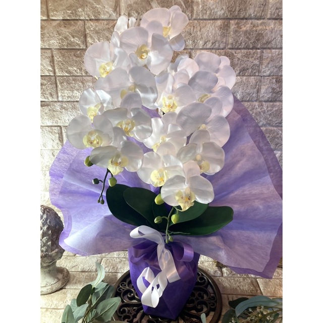 光触媒 人工観葉植物 フェイクグリーン 胡蝶蘭 ピュアオーキッド 光触媒 人工観葉植物 フェイクグリーン 胡蝶蘭 ピュアオーキッド