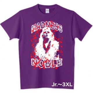 プリントスター(Printstar)のプロレス Tシャツ リック・フレアー アントニオ猪木 WWE WCW フィギュア(Tシャツ/カットソー(半袖/袖なし))