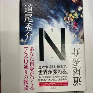 Ｎ(文学/小説)