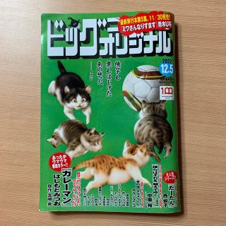 ショウガクカン(小学館)のビッグコミック オリジナル 2022年 12/5号(漫画雑誌)