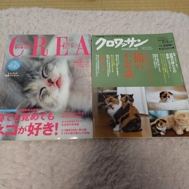 レトロ　猫の雑誌　こねこ エンタメ/ホビーの雑誌(アート/エンタメ/ホビー)の商品写真