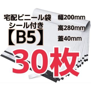 【30枚】宅配ビニール袋 B5サイズ(ラッピング/包装)