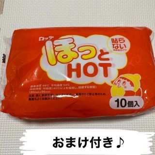 貼らないカイロ10個セット 新品 値下げ！(日用品/生活雑貨)