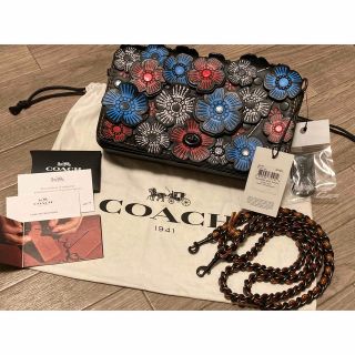 コーチ(COACH)のブルーリボン様　専用(ショルダーバッグ)