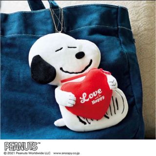 スヌーピー(SNOOPY)のリンネル付録　スヌーピーふわふわWポーチ(ポーチ)