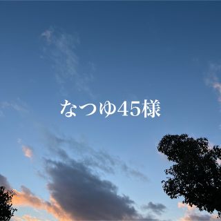 ガリャルダガランテ(GALLARDA GALANTE)のなつゆ45様専用(カットソー(長袖/七分))