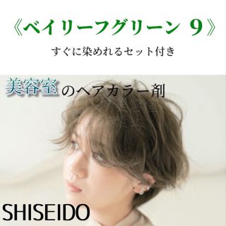 シセイドウ(SHISEIDO (資生堂))の最安値！資生堂　ヘアカラーセット（ショート・メンズヘア用）BG9(カラーリング剤)