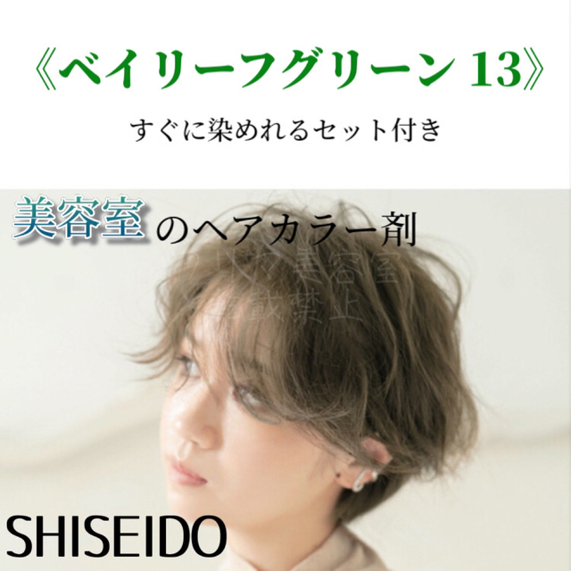 SHISEIDO (資生堂)(シセイドウ)の最安値！資生堂　ヘアカラーセット（ロングヘア用）BG13 コスメ/美容のヘアケア/スタイリング(カラーリング剤)の商品写真