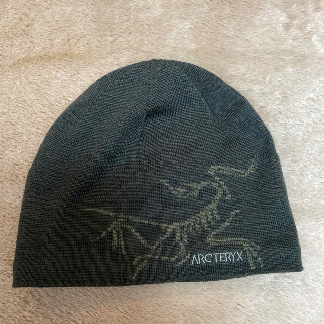 ARC'TERYX(アークテリクス)のARC'TERYX Bird Head Toque メンズの帽子(ニット帽/ビーニー)の商品写真