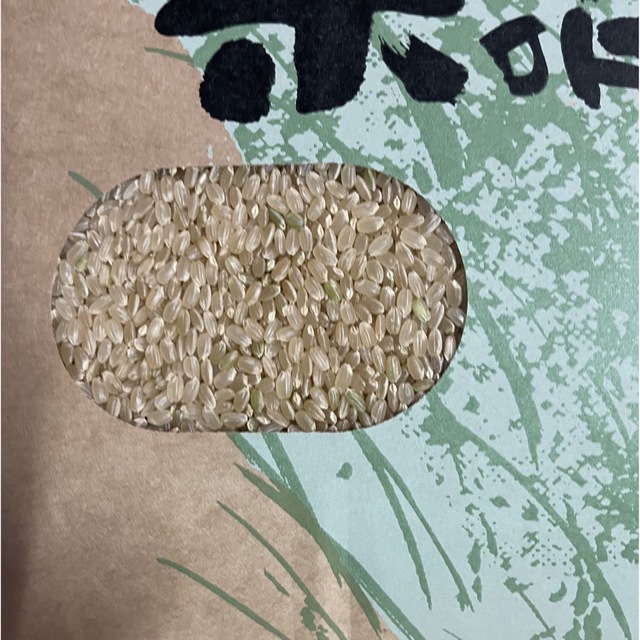 2022年産ヒノヒカリ玄米20 ｋｇ 【送料無料】 4