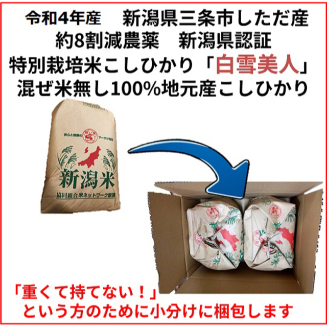 新潟三条　50袋限定　減農薬コシヒカリ玄米10kg+ミルキークイーン玄米10kg　米/穀物