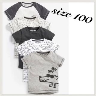 ネクスト(NEXT)のsize 100❁ワニ柄 半袖Tシャツ 5枚組❁next(Tシャツ/カットソー)