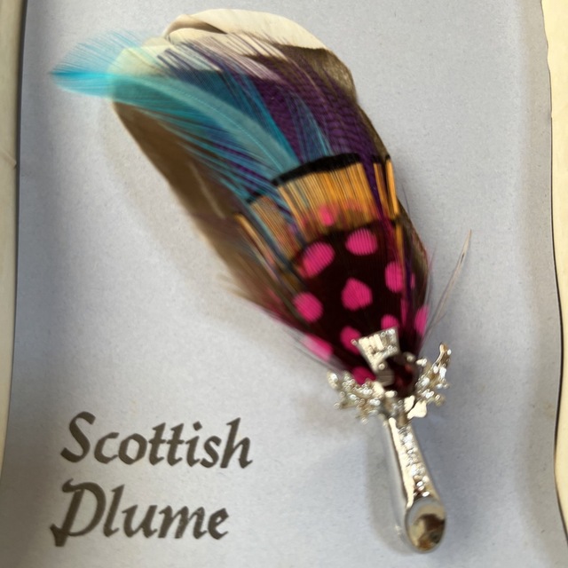 スコットランド　ブローチ　鳥の羽　ビンテージ レディースのアクセサリー(ブローチ/コサージュ)の商品写真