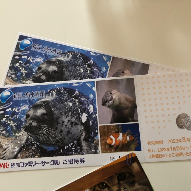 新江ノ島水族館ご招待券ペア チケットの施設利用券(水族館)の商品写真