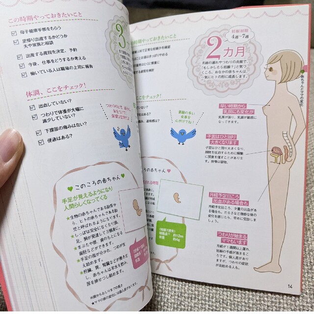 トイザらス　ベルメゾン　妊娠　出産　フォトカード　育児日記 エンタメ/ホビーの雑誌(結婚/出産/子育て)の商品写真