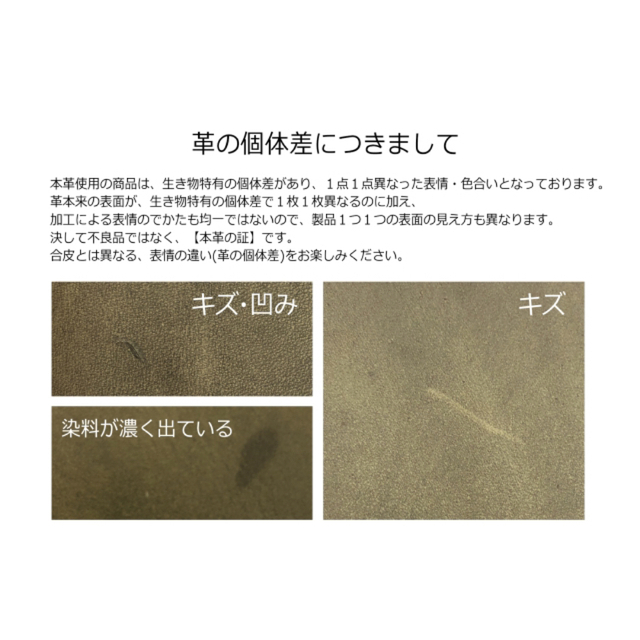 PLOTTER 6穴リングレザーバインダー リスシオ バイブルサイズ グリーン